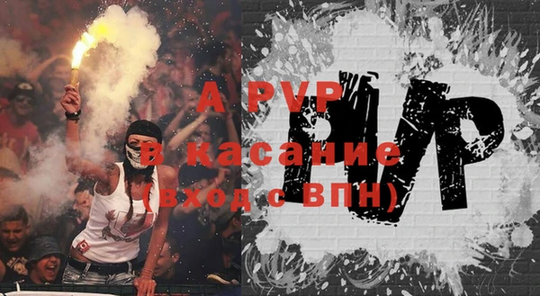 крисы Алзамай