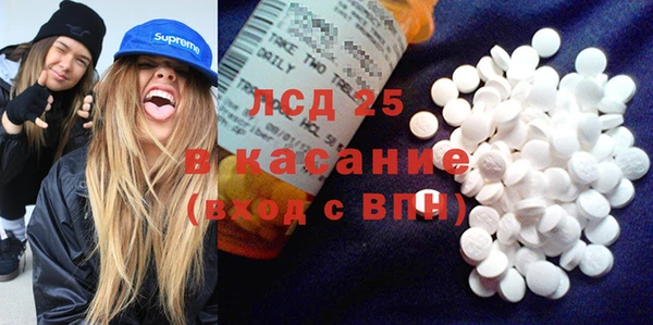 крисы Алзамай