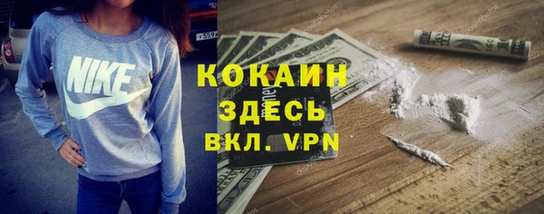 крисы Алзамай