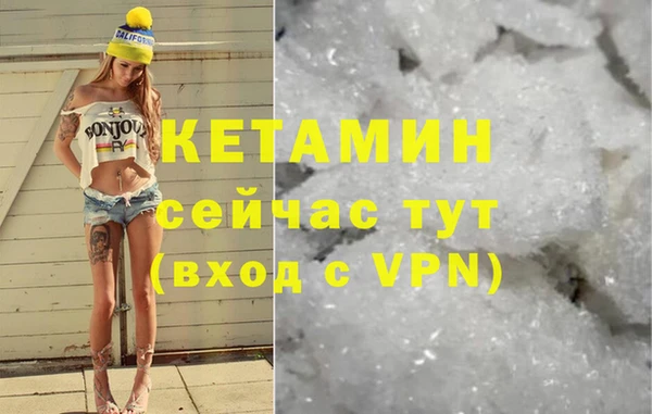 крисы Алзамай