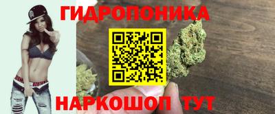 молекула духа Заволжье