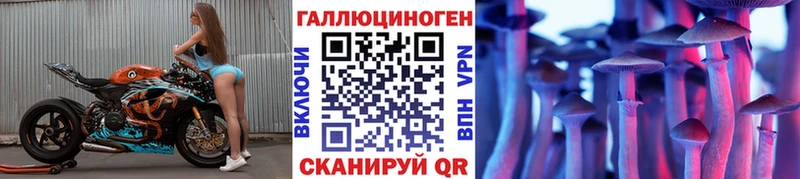Псилоцибиновые грибы Psilocybe  продажа наркотиков  нарко площадка какой сайт  Менделеевск 