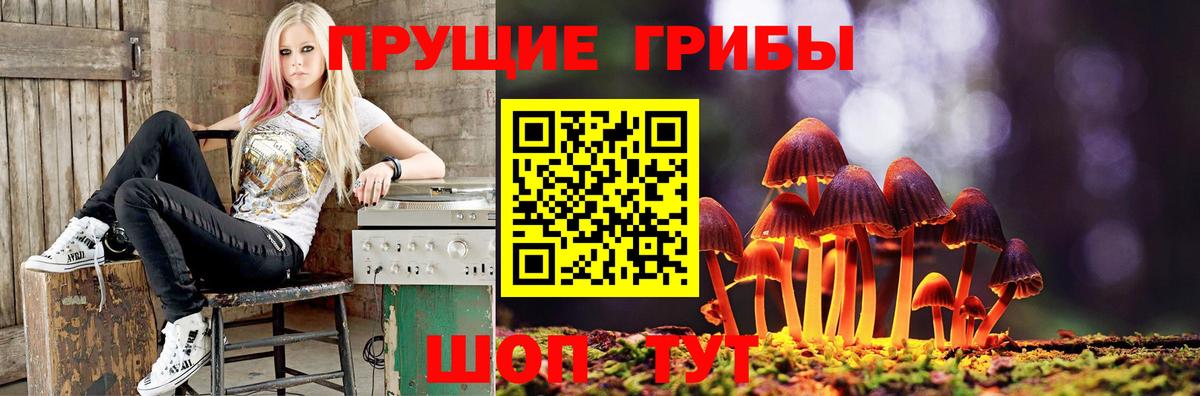 Менделеевск  Галлюциногенные грибы Magic Shrooms  Галлюциногенные грибы GOLDEN TEACHER  где продают   Вход с VPN 